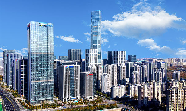 公司优势